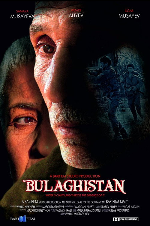 Bulaqistan (2009) movie poster