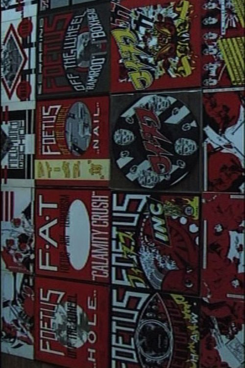 NYC Foetus (2009) movie poster