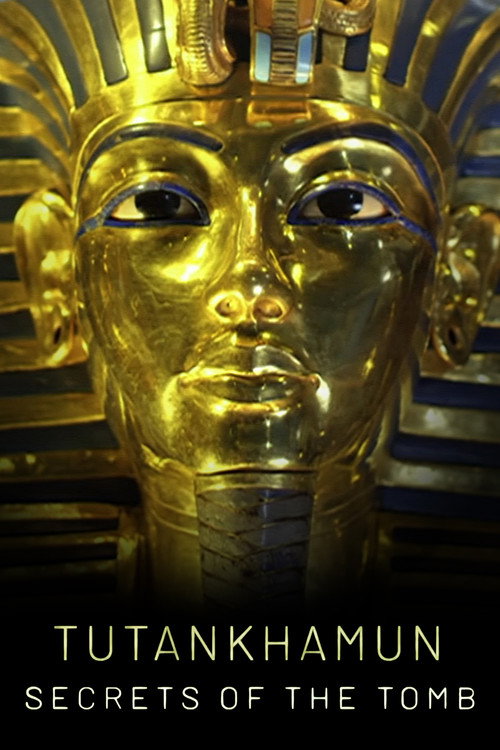 Tutankhamun: Secrets of the Tomb (2022) TV show poster