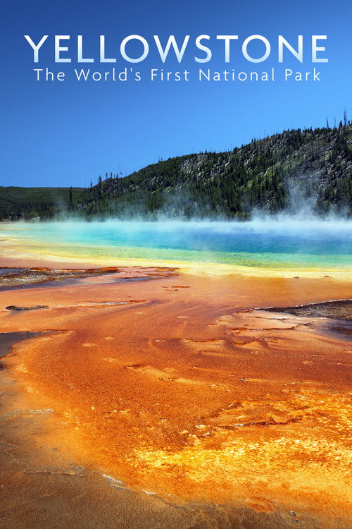 National Parks Exploration Series: Yellowstone (2011) movie poster