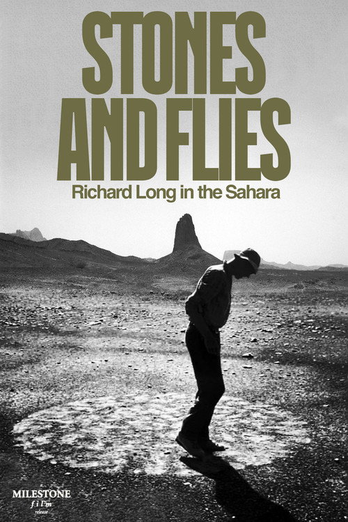 Stones and Flies: Richard Long in the Sahara (1988) movie poster