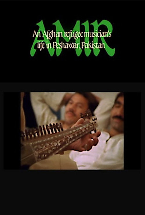 Amir: An Afghan Refugee Musician's Life in Peshawar, Pakistan (1985) movie poster