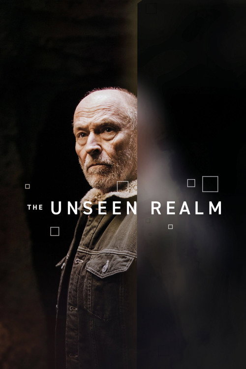 The Unseen Realm (2019) movie poster