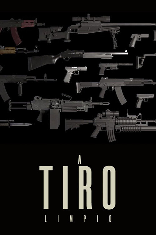 A tiro limpio (2013) movie poster