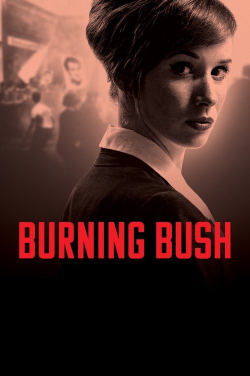 Burning Bush (2013) TV show poster