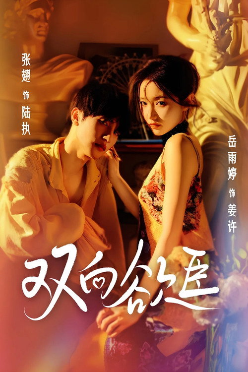 Desire's Dance, Fate's Chance (2025) TV show poster