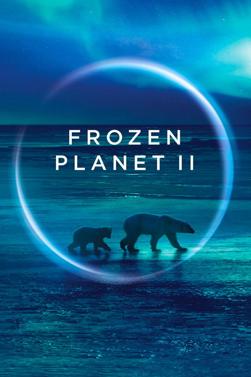 Frozen Planet II (2022) TV show poster