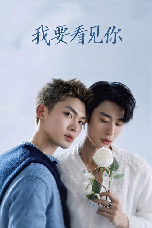 Till I See You (2026) TV show poster