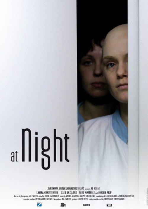 At Night (2007) movie poster
