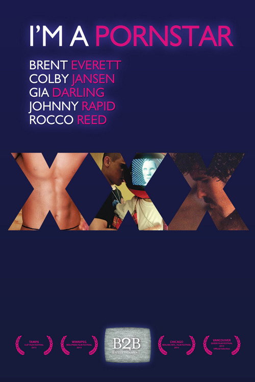 I'm a Porn Star (2013) movie poster