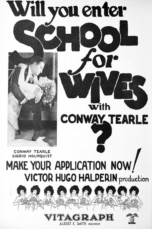 School for Wives (1925) movie poster