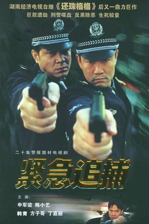 紧急追捕 (2002) TV show poster