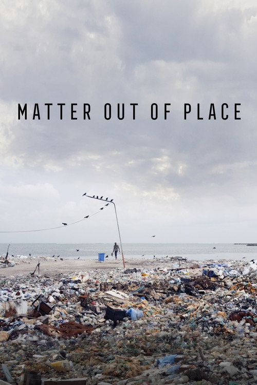 Matter Out of Place (2022) movie poster