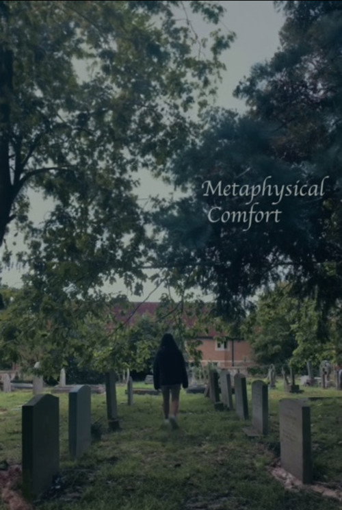 Metaphysical Comfort (2023) movie poster