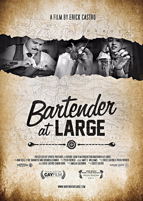 Bartender At Large (2017) movie poster
