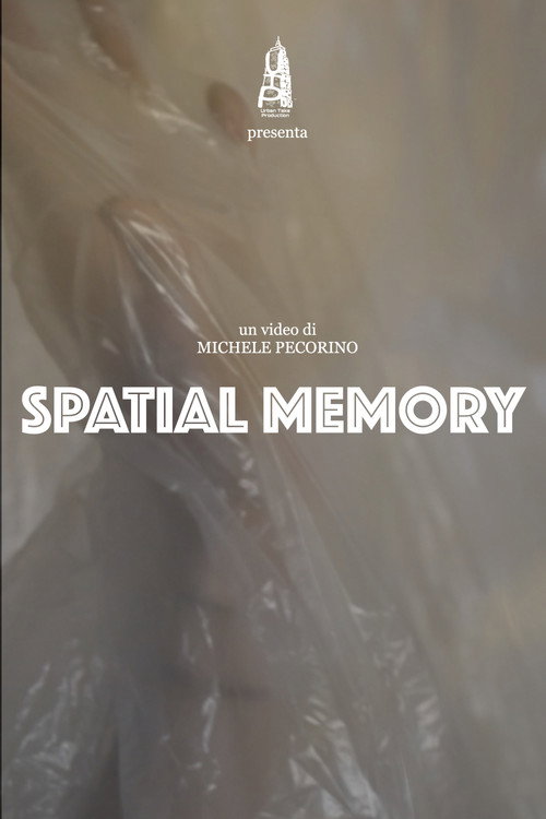 Spatial Memory (2022) movie poster