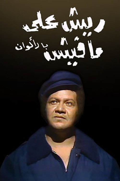 All Sizzle, No Steak (1978) TV show poster