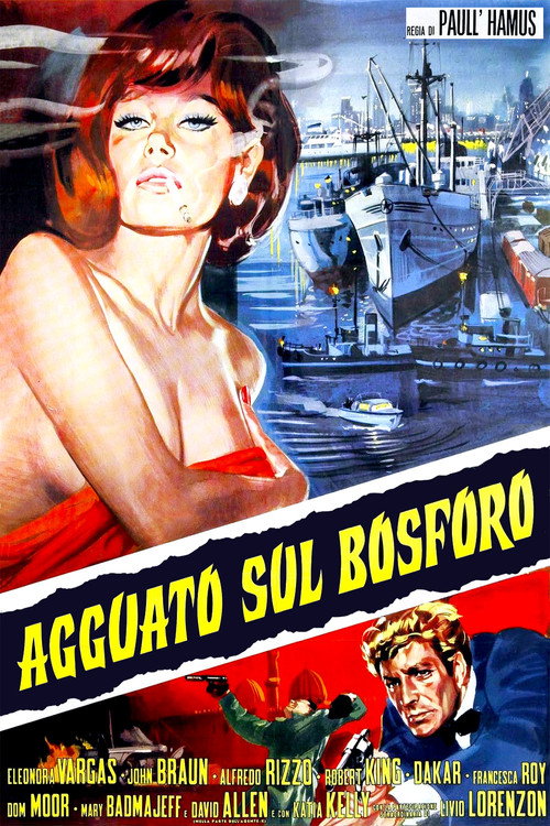 Agguato sul Bosforo (1969) movie poster