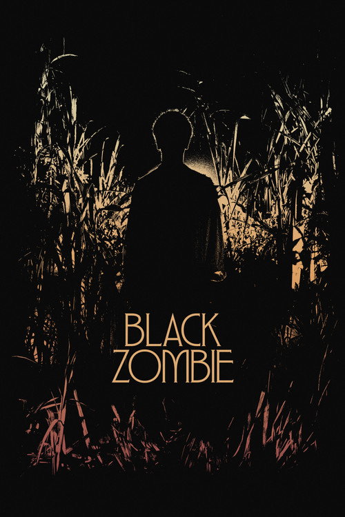 Black Zombie (2026) movie poster