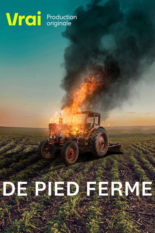 De pied ferme (2021) TV show poster
