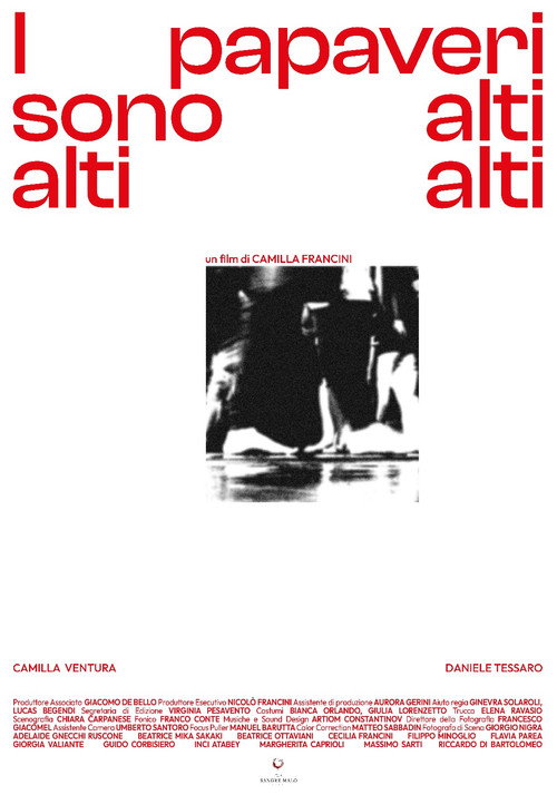 I Papaveri Sono Alti Alti Alti (2024) movie poster