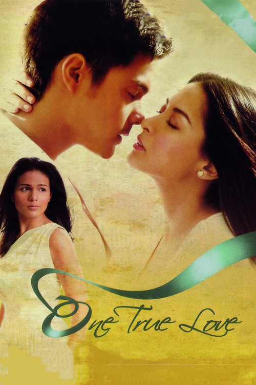 One True Love (2008) movie poster