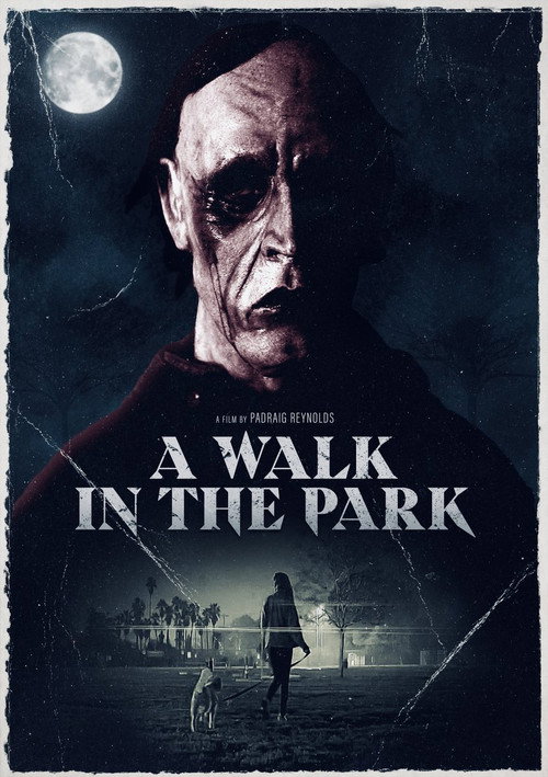 A Walk in the Park (2022) movie poster