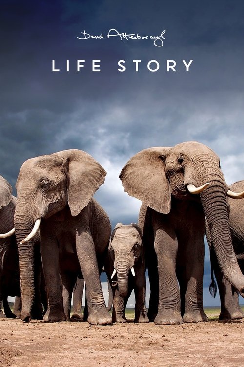 Life Story (2014) TV show poster