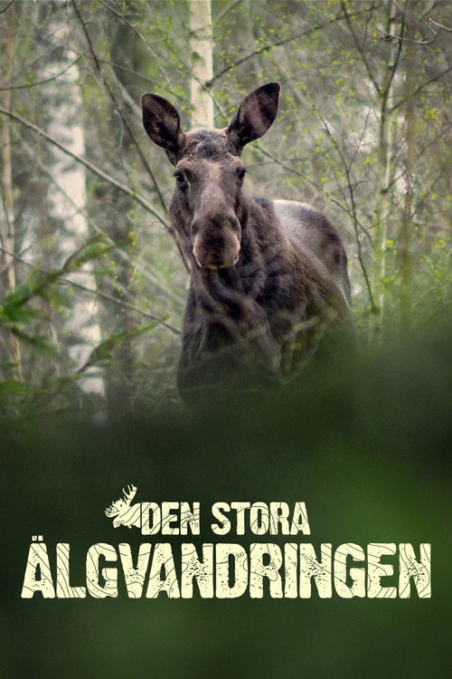 Den stora älgvandringen (2019) TV show poster