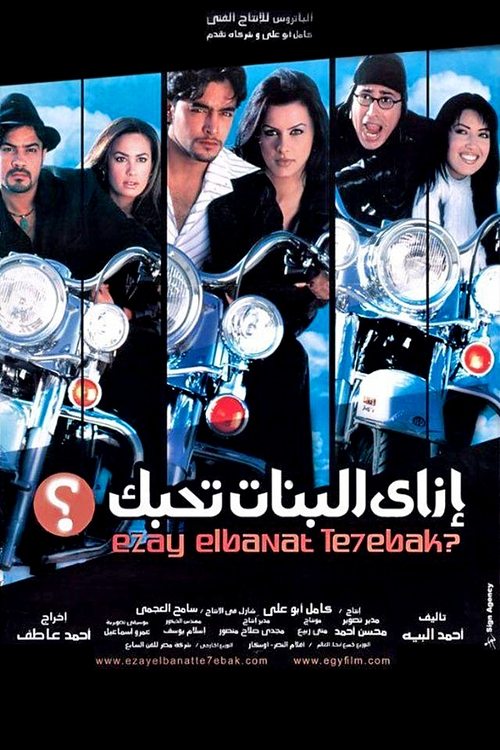 How to Get Girls to Fall for You (2003) movie poster