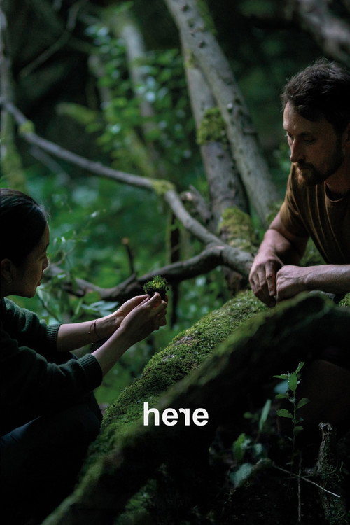 Here (2024) movie poster