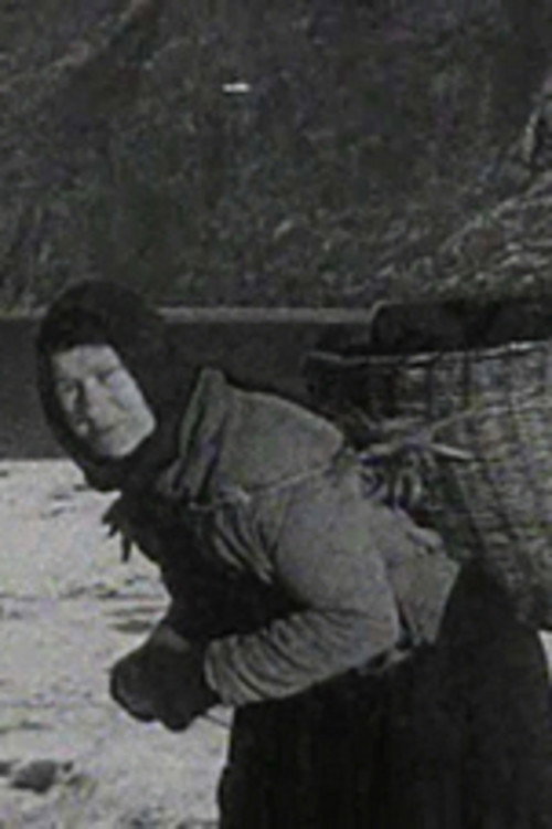 A Crofter's Life in the Shetlands (1931) movie poster