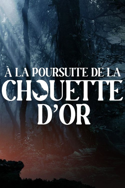 À la poursuite de la chouette d'or (2024) movie poster