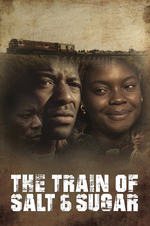 The Train of Salt and Sugar (2016) movie poster