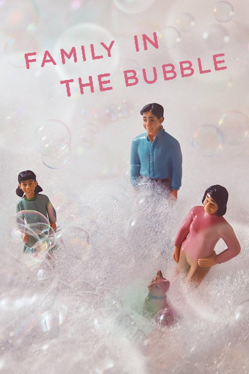 Family in the Bubble (2018) movie poster