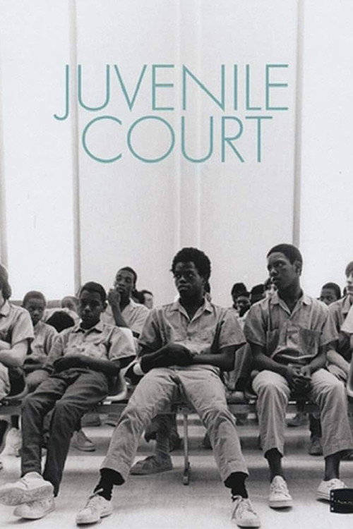 Juvenile Court (1973) movie poster