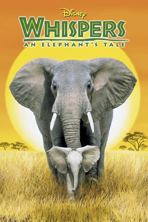 Whispers: An Elephant's Tale (2000) movie poster