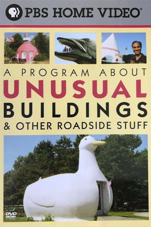 A Program About Unusual Buildings & Other Roadside Stuff (2004) movie poster