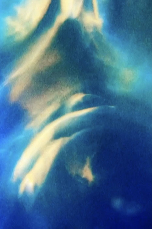 Opalescence (2021) movie poster