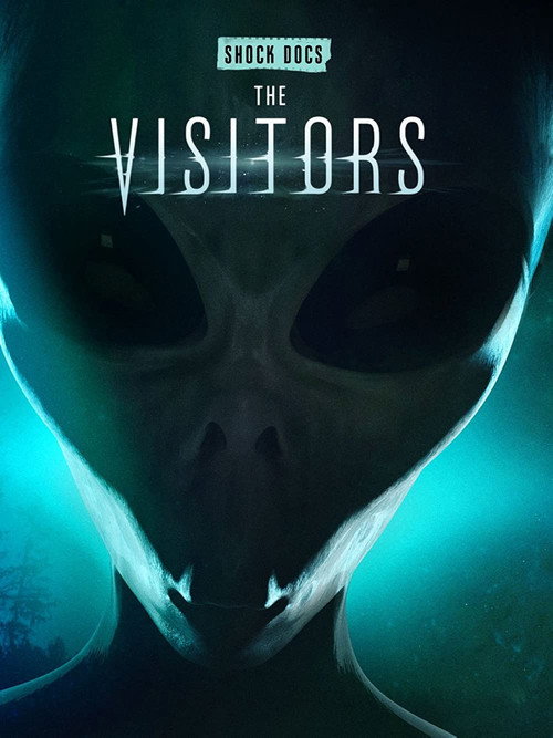 The Visitors (2022) movie poster