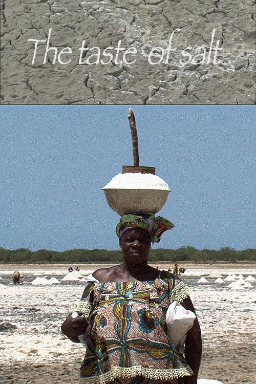 The Taste of Salt (2011) movie poster