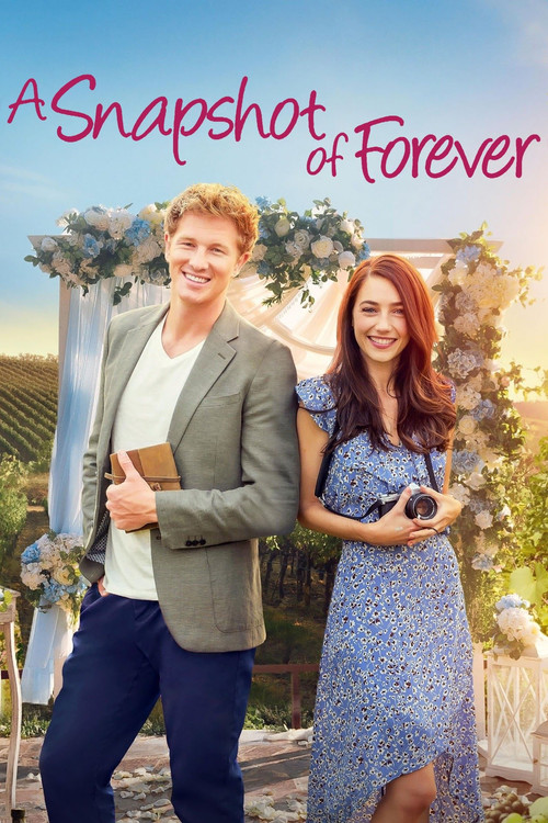 A Snapshot of Forever (2022) movie poster