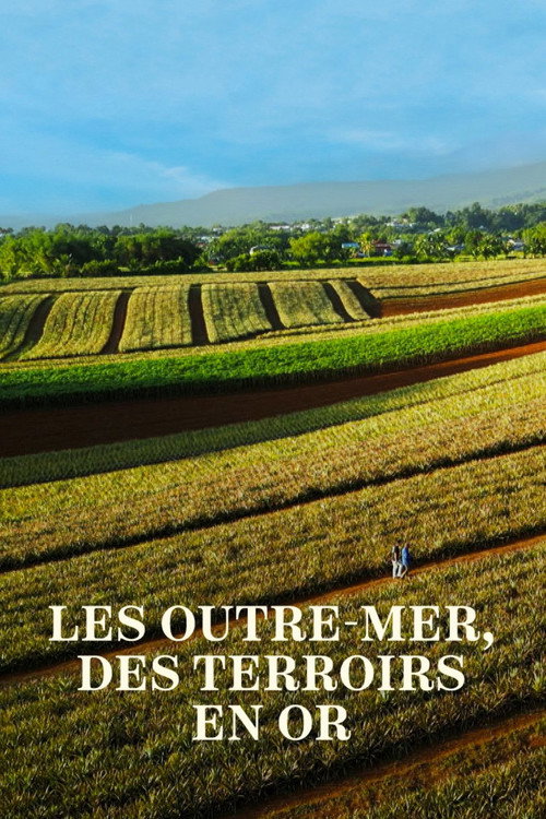 Les Outre-mer, des terroirs en or (2024) movie poster