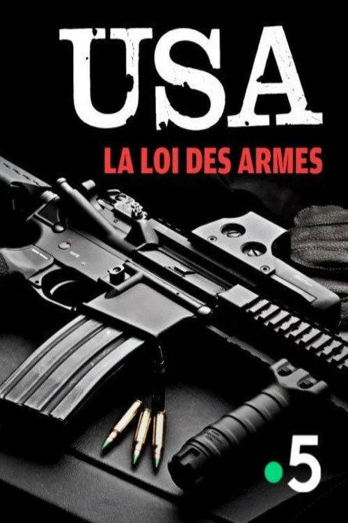 The US and Their Guns: An American Story (2019) movie poster