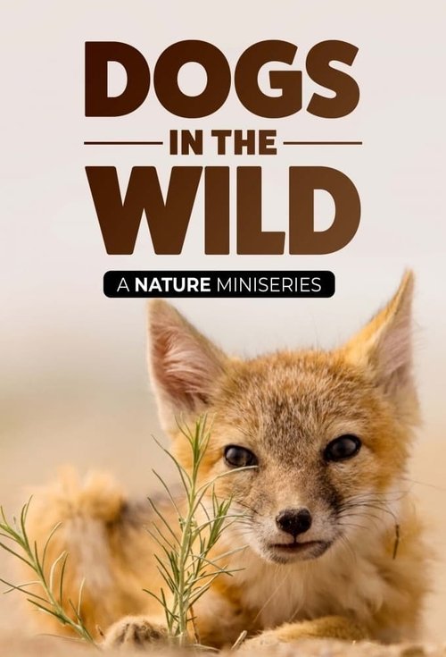Dogs in the Wild: Meet the Family (2022) TV show poster
