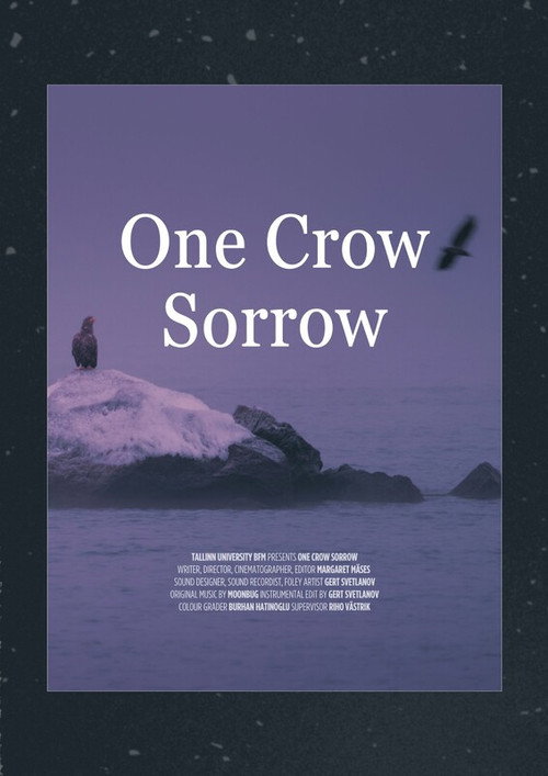 One Crow Sorrow (2024) movie poster