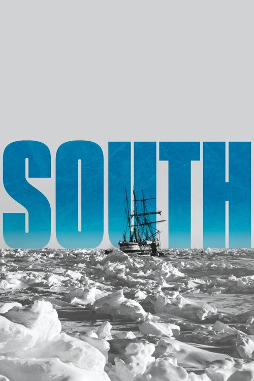 South (1919) movie poster