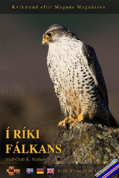 In the Realm of the Gyr Falcon (2009) movie poster