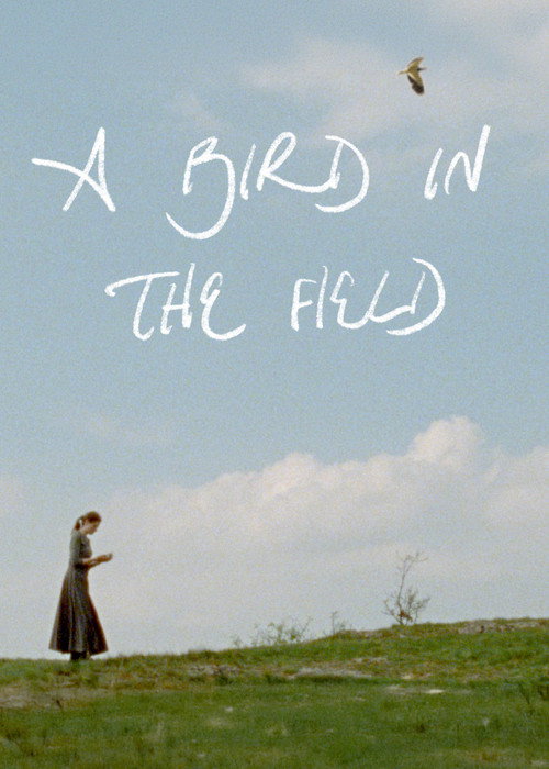 A Bird in the Field movie poster