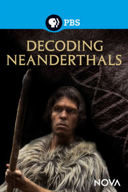 Decoding Neanderthals (2013) movie poster